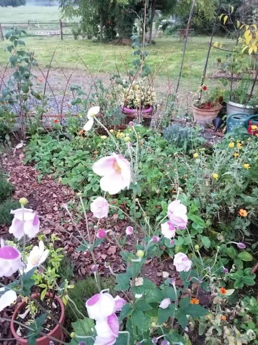 Les Hortensias La Souris Des Champs Etival-Clairefontaine Екстер'єр фото